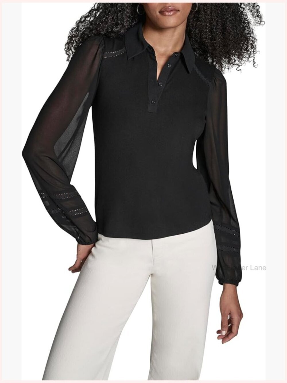 Long Sleeve Collared Top with Sheer Sleeves
